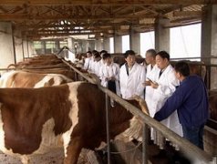 智能畜牧养殖业传感器应用方案